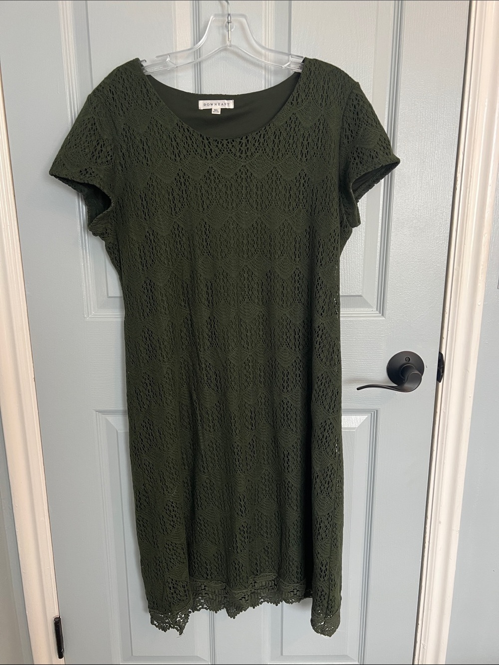 DownEast Olive Green Lace Midi Dress
